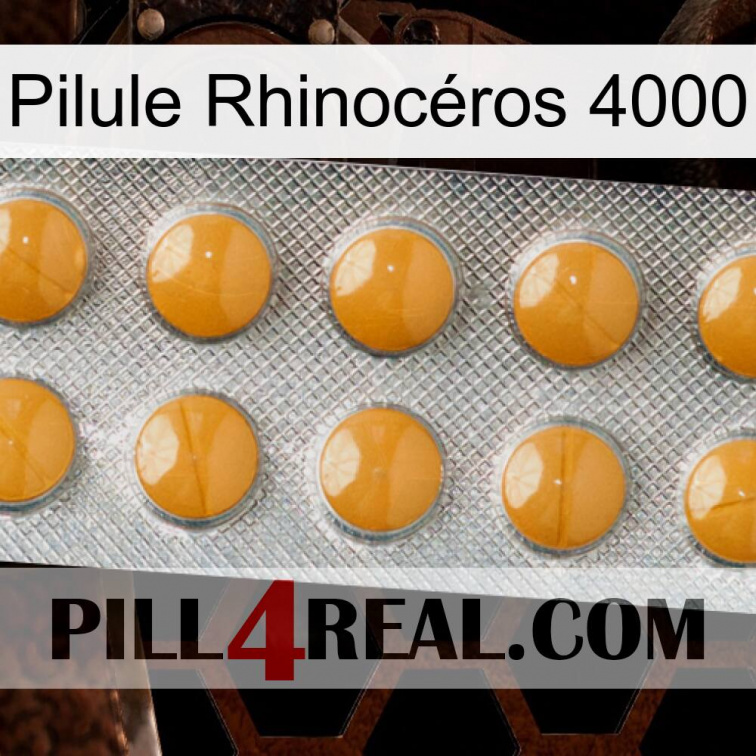 Pilule Rhinocéros 4000 levitra1